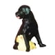 thumbnail image 3 of 1/64 Miniatura Perro Mini Figura Mu?eca Escena Callejera Modelo StyleA Negro Amarillo, 3 of 5
