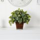 thumbnail image 2 of Planta artificial de pothos casi naturales con maceta de cuerda enrollada, 2 of 3