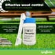 thumbnail image 2 of Herbicida Syngenta Recognition 55 ml para malezas de postemergencia, 2 of 7