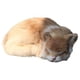 thumbnail image 4 of Dibujos Animados De Figuras De Animales De Gato De Dibujos Animados Juguete De Mu?eca Compa?era Para Ni?os Regalo, 4 of 5