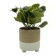 thumbnail image 4 of Planta Artificial 26cm, 1 unidad, 4 of 4