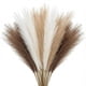 thumbnail image 1 of Planta Artificial Cong He 55 cm – Set de 30 piezas en Blanco/Beige/Marrón, 1 of 9