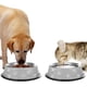 thumbnail image 3 of Comedero para mascotas de acero inoxidable con brillantes diamantes de imitación. Comedero para perros, gatos y perros. Cuenco individual de acero inoxidable con diamantes de imitación. Cuenco para ma, 3 of 6
