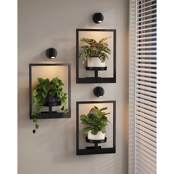 Bamworld Maceteros colgantes para interior, 3 unidades, con luces