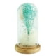 thumbnail image 3 of Lámpara De Techo De Cristal De Flores Secas Lámpara De Mesa De Cadena De Luces De Noche Verde, 3 of 3