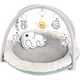 thumbnail image 1 of Alfombra de juego Sensory mat Gris, 1 of 3