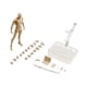 thumbnail image 4 of Conjunto De Cuerpo De Figuras De 15 Cm Con Soporte De Exhibición De Figura Para Decoración De Dormitorio Albaricoque Masculino, 4 of 5