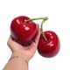 thumbnail image 3 of Cereza Artificial Falsa XINFU 9.5 cm Modelo Decorativo, 3 of 5