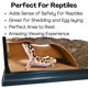 thumbnail image 4 of Escondite con vista para reptiles Lucky Critter de 19 cm, 4 of 9