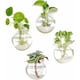 thumbnail image 3 of Pack 2 Macetas De Vidrio Colgante Transparente Pared 13cm, 3 of 6