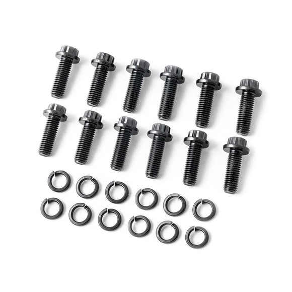 Juego de pernos flysclean PP-DMAX-BOLTS de 12 puntos para tubo ascendente