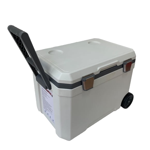 Nevera portátil BRZSACR para camping de 48 cuartos, color blanco