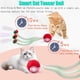 thumbnail image 4 of Juguete interactivo para gatos Tchernt Speed 2.0 Tail con chirrido, 4 of 9