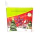 thumbnail image 3 of Luces de Navidad LED en Estrella (40L) – Decoración Navideña, 3 of 3