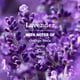 thumbnail image 3 of Mrs. Meyer's Clean Day Suavizante Líquido para Ropa, Lavanda, 32 fl oz, 3 of 3