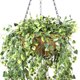 thumbnail image 2 of Planta Artificial Helecho Colgante Sara 110 CM, Con Filtro UV, 2 of 3