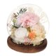 thumbnail image 1 of Regalos Del Día De La Madre Decoración De Mesa Flores Preservadas Regalo Para Abuela Mamá Champagne, 1 of 5