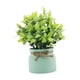 thumbnail image 3 of Pequeñas Plantas Falsas Decorativas Bonsái Artificiales Para Oficina Baño Granja Verde, 3 of 5