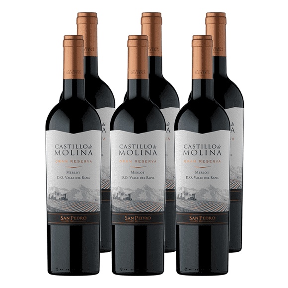 VINO MERLOT 750CC CASTILLO MOLINA x6