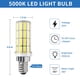 thumbnail image 2 of Bombilla LED RIUVAO E12 de 20 W (equivalente a 200 W), 5000 K, 2500 lm, paquete de 4, 2 of 6