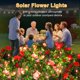 thumbnail image 2 of Luces solares para jardín Aureate Horizon, paquete de 4, rojo y rosa, 2 of 4