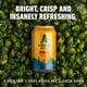 thumbnail image 3 of Cerveza sin alcohol Athletic Brewing Upside Dawn 12 x 355 ml, 3 of 7