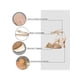 thumbnail image 3 of Sandalia Casual Mujer Dorado Taco Stiletto Weide YOU233 Mujer, 3 of 9