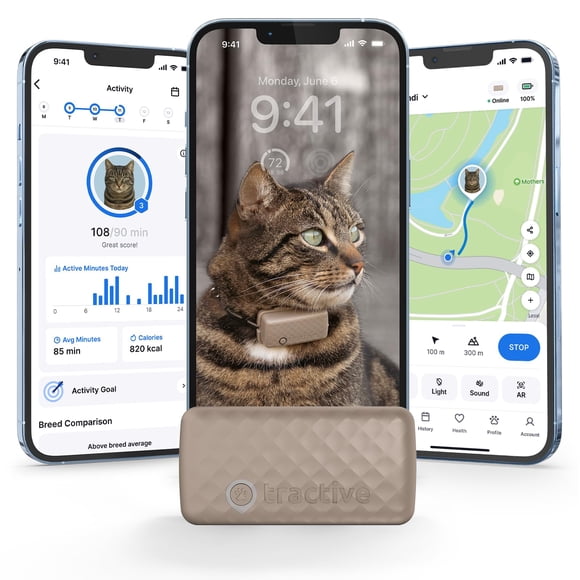 Localizador Gps Para Gatos Ubicación En Tiempo Real Y Bienestar 5 Días
