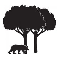 Rienda Libre Graphics - Decomural Bear Trees Scene Ws-44220