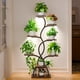 thumbnail image 3 of Soporte Para Plantas De Interior Evawoo 8 Niveles Con Luz De Cultivo 49 Pulgadas, 3 of 3