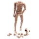 thumbnail image 4 of Escala 1: 6 Cuerpo Desnudo Masculino Posible 28 Articulaciones Movibles 12 "Figura De Acción Trigo, 4 of 5