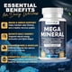 thumbnail image 2 of Suplemento mineral BARIPLUS Mega Mineral 1000mg 500mg, 2 of 3