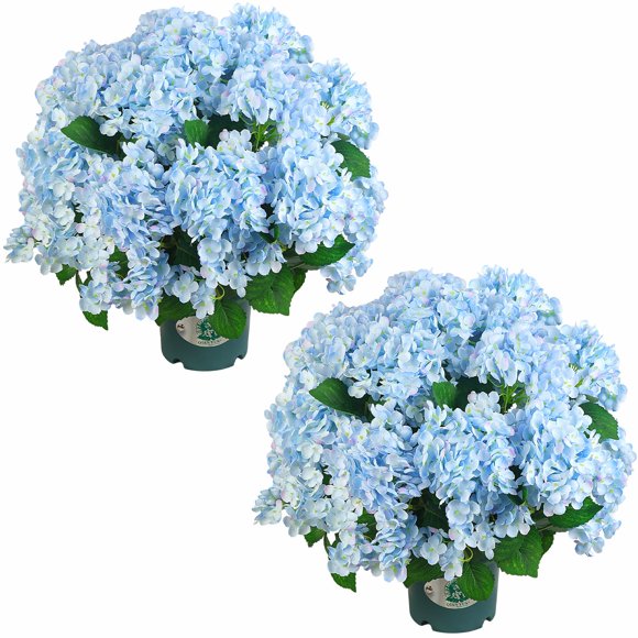 Juego de 2 arbustos artificiales de hortensia QIANYUN 51 cm en maceta