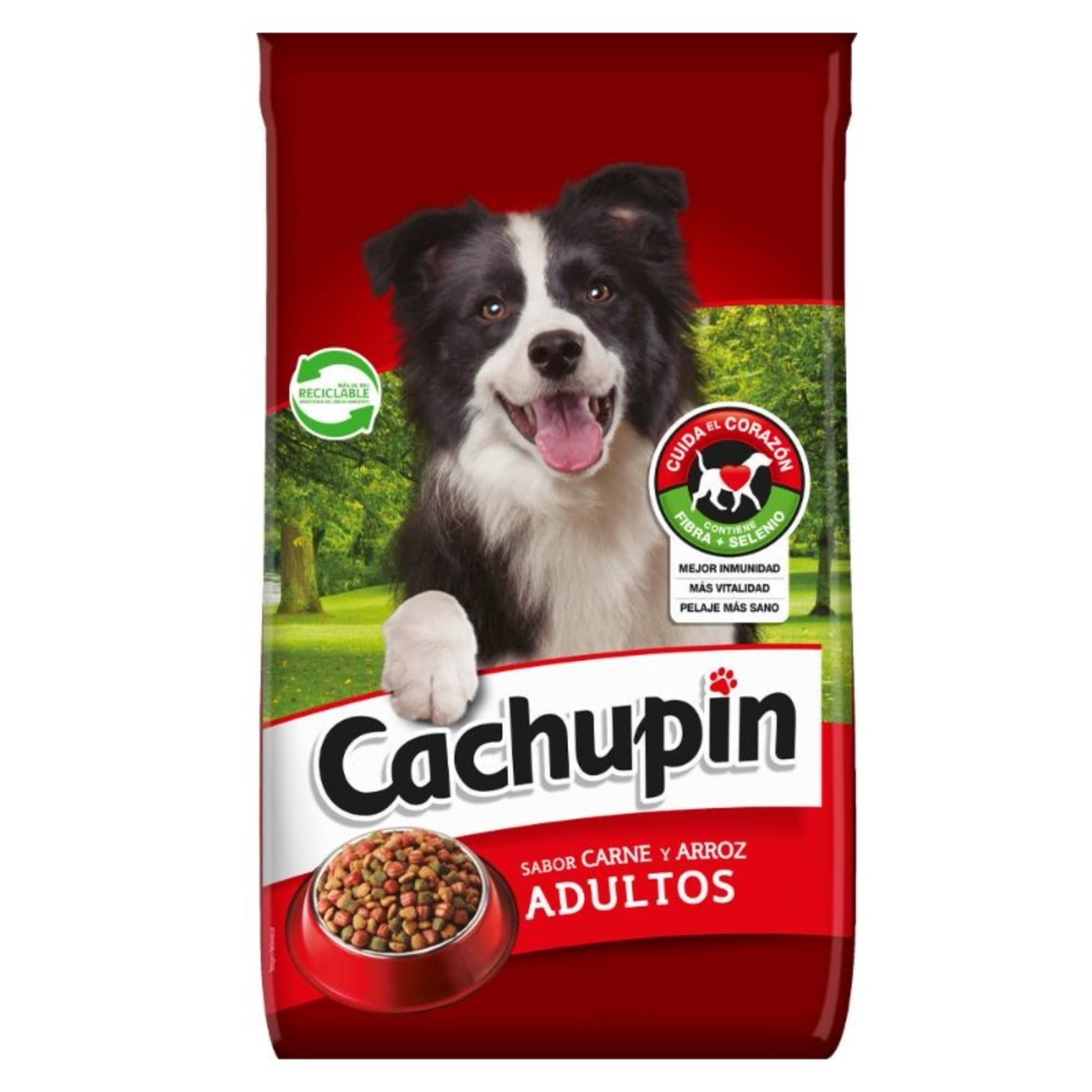 Alimento Seco Perro Adulto Carne Y Arroz Bolsa 15 kg Cachupin