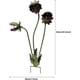 thumbnail image 3 of Estaca jardín planta carnívora metal 63cm Venus atrapamoscas decoración Halloween gótico, 3 of 7