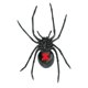 thumbnail image 2 of Figura Safari Ltd. Black Widow Spider, 16 cm, para niños mayores de 3 años, 2 of 6