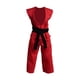 thumbnail image 4 of 1/12 Figuras De Acción Samurai Kimono Decoración De Mu?ecas Elegante 6 "Figura Judo Uniforme Rojo, 4 of 5