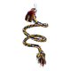 thumbnail image 2 of Cuerda Para Pájaros, Perca, Cuerda Para Pájaros, Loro, Cuerda De Escalada Para Periquitos, Agapornis, Conures, 0,5 M, 2 of 5