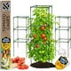 thumbnail image 1 of Cage para tomates K-Brands, paquete de 3, enrejado cuadrado de 104 cm, 1 of 8