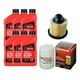 thumbnail image 1 of Kit Ford F150 Motorcraft Filtro Aceite+aire+aceite Motor 4,2, 1 of 4