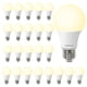 thumbnail image 1 of Bombillas LED DEGNJU, 8,5 W, 800 lm, 2700 K, A19 E26, paquete de 24, 1 of 9