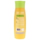 thumbnail image 2 of Shampoo Skala Frutastica Banana 325ml Mujer, 2 of 2