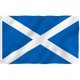 thumbnail image 1 of Bandera Anley Scotland, poliéster, 90 x 150 cm, color vivo, 1 of 6