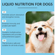 thumbnail image 2 of Liquid Nutrition Pet Multivitaminico Liquido Para Perros, 2 of 9