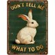 thumbnail image 1 of Letrero estaño metal conejo Pascua vintage conejo flor huevo primavera arte pared hogar granja cocina dormitorio 20x30cm, 1 of 6