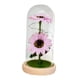 thumbnail image 3 of Regalos De Girasol En Cúpula De Vidrio Con Lámpara De Girasol Ligera Para El Día De Acción De Gracias Estilo C, 3 of 5
