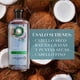 thumbnail image 2 of Shampoo Herbal Essences Hidrata Agua de Coco, 240 ml, 2 of 5