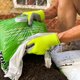 thumbnail image 4 of Guantes de protección Wells Lamont Foam Latex Grip Medium, 4 of 6
