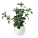 thumbnail image 1 of Planta Artificial Ficus Decorativa Maceta Decoracion Hogar beige, 1 of 9