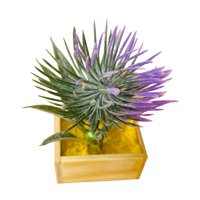 Magideal - Casa De Muñecas En Maceta, Casa De Muñecas En Maceta, Modelo De Paisaje, Micro Paisaje, Decoración Del Hogar, Casa De Muñecas, Planta En Miniatura Par